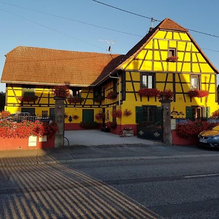 Apartament Maison Alsacienne A Andolsheim Zewnętrze zdjęcie
