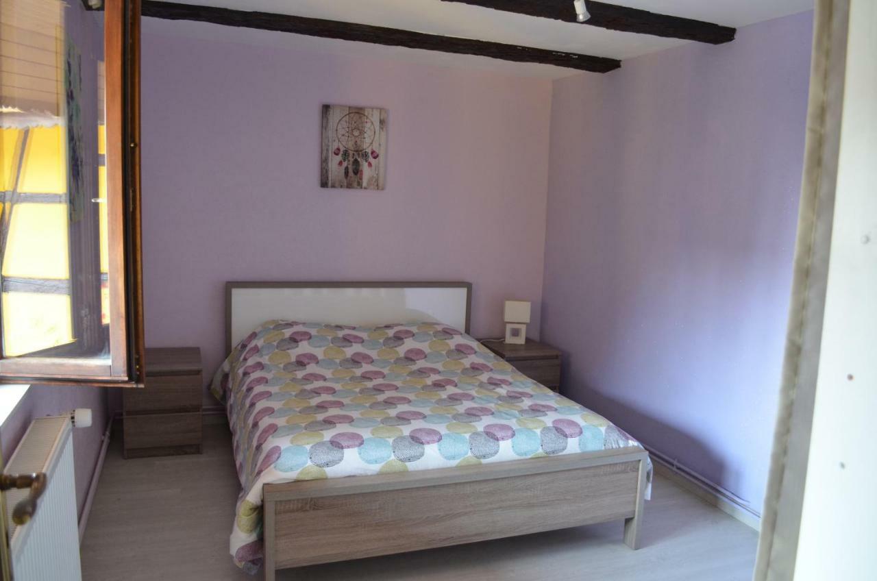 Apartament Maison Alsacienne A Andolsheim Zewnętrze zdjęcie