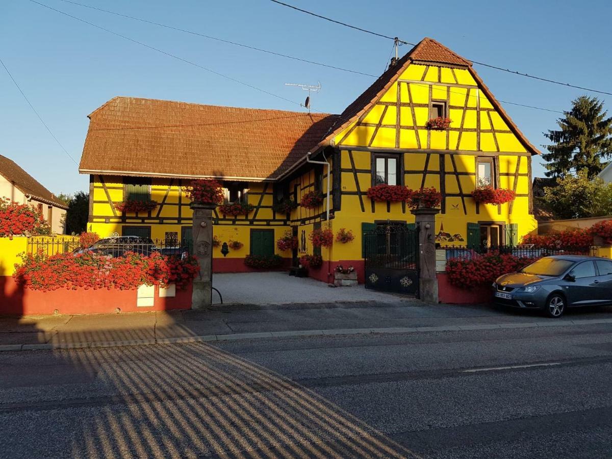 Apartament Maison Alsacienne A Andolsheim Zewnętrze zdjęcie